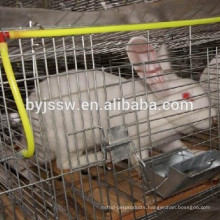 Automatic Water Feeder For Rabbits